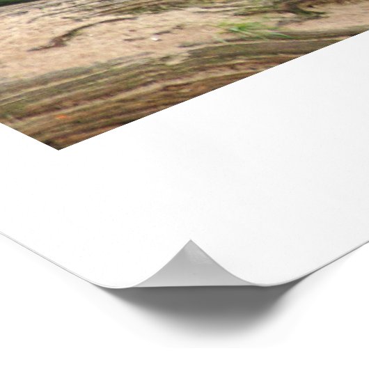 Baby Steps Poster (Ecke)