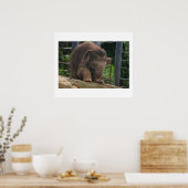 Baby Steps Poster (Küche)