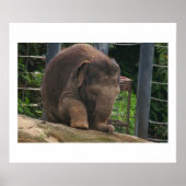 Baby Steps Poster (Vorne)