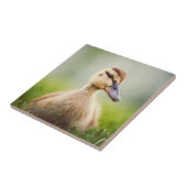 Baby-Stockenten-Ducken Fliese (Seite)