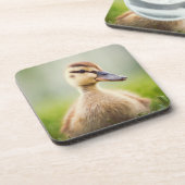 Baby-Stockenten-Ducken Getränkeuntersetzer (Linke Seite)