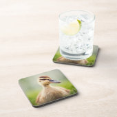 Baby-Stockenten-Ducken Getränkeuntersetzer (Rechte Seite)