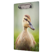 Baby-Stockenten-Ducken Klemmbrett (Links)