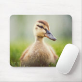 Baby-Stockenten-Ducken Mousepad (Mit Mouse)