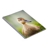 Baby-Stockenten-Ducken Notizblock (Rechte Seite)