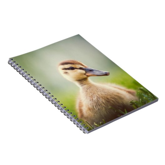 Baby-Stockenten-Ducken Notizblock (Rechte Seite)