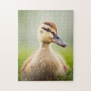 Baby-Stockenten-Ducken Puzzle