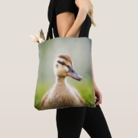 Baby-Stockenten-Ducken
