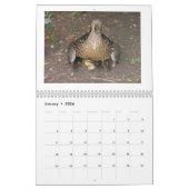 Baby-Stockenten-Enten Kalender (Jan 2026)