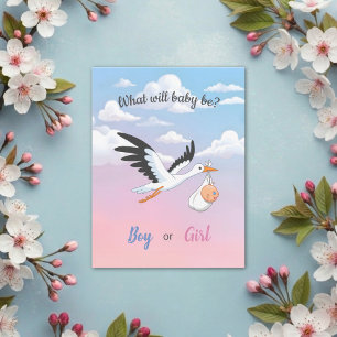Baby-Storch-Wolken-Geschlecht-Reveal-Party-Einladu Postkarte