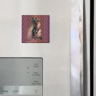 Baby Sugar Glider Magnet