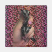 Baby Sugar Glider Magnet (Vorne)