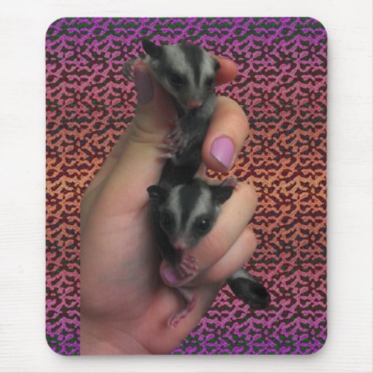 Baby Sugar Glider Mousepad (Vorne)