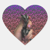 Baby Sugar Glider Sticker (Vorderseite)