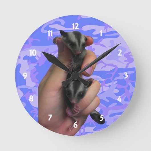 Baby Sugar Gliders Clock Runde Wanduhr (Vorderseite)