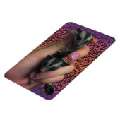 Baby Sugar Gliders Foto Magnet (Linke Seite)