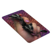 Baby Sugar Gliders Foto Magnet (Rechte Seite)