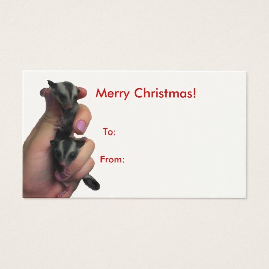 Baby Sugar Gliders Merry Christmas Big Tag (Vorderseite)