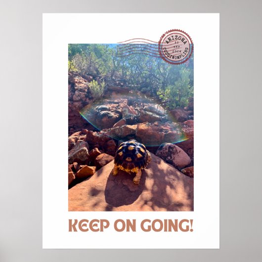 Baby Sulcata Tortoise Behielt auf Inspiration Poster (Vorne)