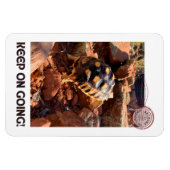 Baby Sulcata Wandern in Sedona Rote Felsen Arizona Magnet (Horizontal)