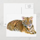 Baby Sumatran Cub_ Postkarte (Vorne/Hinten)