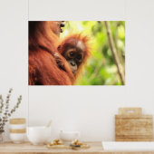 Baby Sumatran Orangutan Poster (Küche)