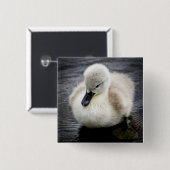 Baby Swan | Cygnet Button (Vorne & Hinten)
