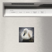Baby Swan | Cygnet Magnet (In Situ (Geschirrspüler))