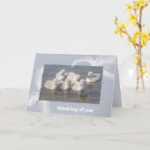 Baby Swans & Federn Blank geklappte Grußkarte Karte (Gelbe Blume)