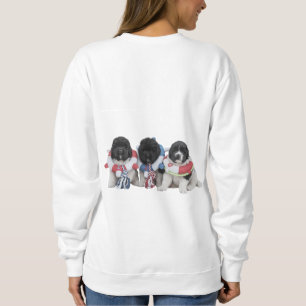 Baby Sweatshirt