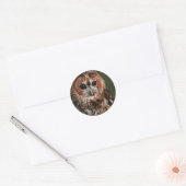 Baby Tawny Owl Runder Aufkleber (Umschlag)