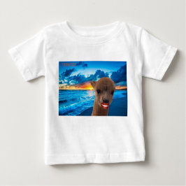 Baby tee alpaca on beach, vielen Dank