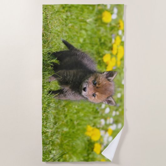 Baby-Tier-Foto niedliche flaumige roter Strandtuch (Vorderseite)