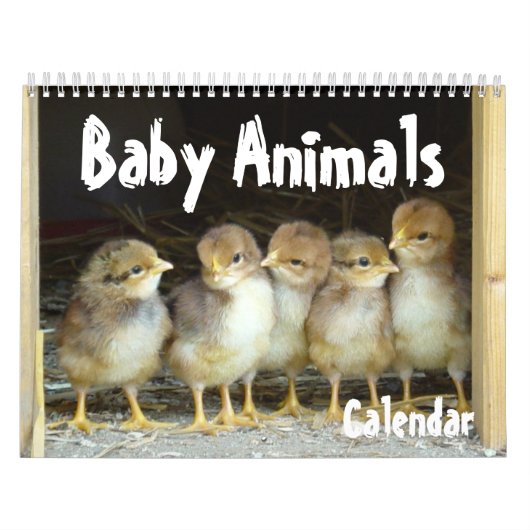 Baby-Tier-Kalender Kalender (Titelbild)