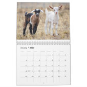 Baby-Tier-Kalender Kalender (Jan 2026)