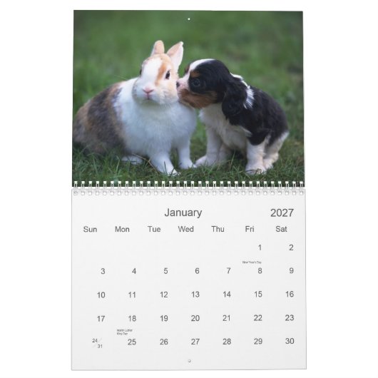 Baby-Tier-Kalender Kalender (Jan 2027)