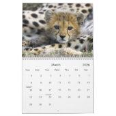 Baby-Tier-Kalender Kalender (Mär 2026)