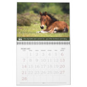Baby-Tiere u. alte Schulangesagter Kalender (Feb 2027)