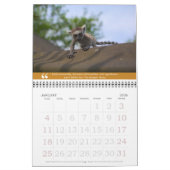Baby-Tiere u. alte Schulangesagter Kalender (Jan 2026)