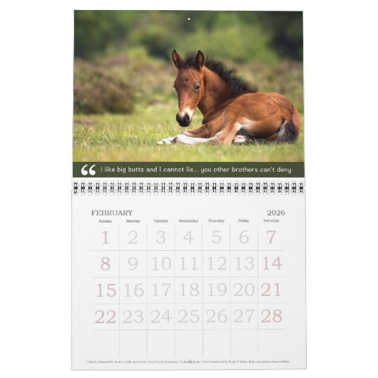 Baby-Tiere u. alte Schulangesagter Kalender (Feb 2026)