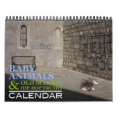 Baby-Tiere u. alte Schulangesagter Kalender (Titelbild)