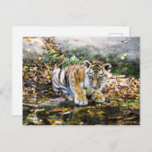 Baby Tiger Cub Postcard Postkarte (Vorne/Hinten)