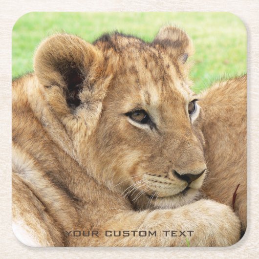 Baby Tiger Custom Untersetzer (Vorderseite)