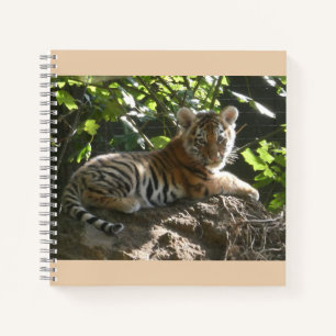 Baby Tiger im Sun Notebook Notizblock