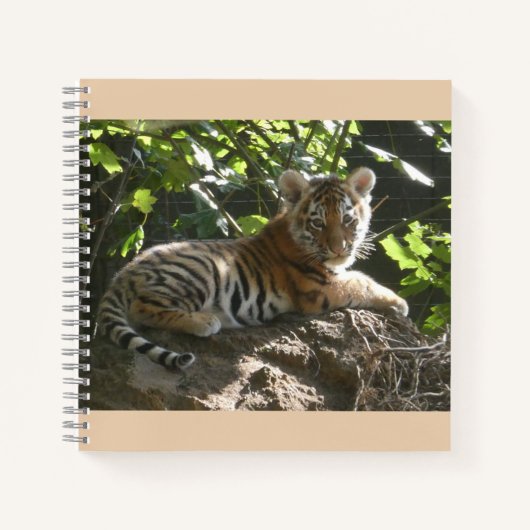 Baby Tiger im Sun Notebook Notizblock (Vorderseite)