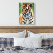 Baby Tiger in Farbe Leinwanddruck (Insitu (Schlafzimmer))