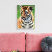 Baby Tiger in Farbe Leinwanddruck (Insitu (Wohnzimmer))