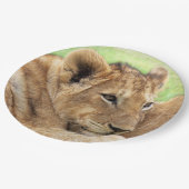 Baby Tiger Paper Teller (Schrägansicht)