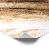 Baby Tiger Poster (Ecke)