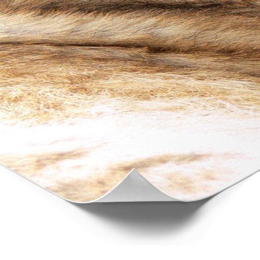 Baby Tiger Poster (Ecke)